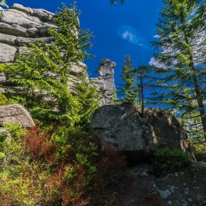 hala-szrenicka-fot-ewajak11