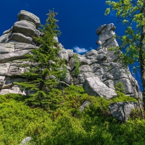 hala-szrenicka-fot-ewajak13