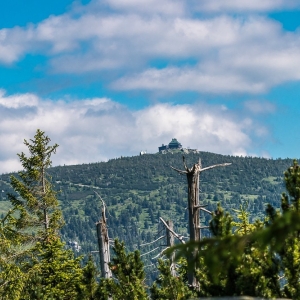 hala-szrenicka-fot-ewajak15
