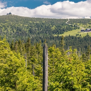 hala-szrenicka-fot-ewajak17