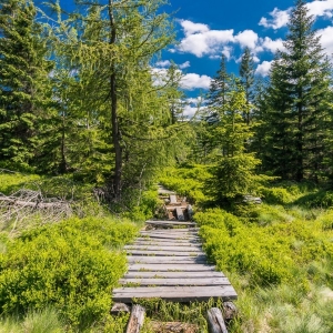 hala-szrenicka-fot-ewajak19