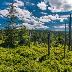 hala-szrenicka-fot-ewajak20