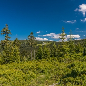 hala-szrenicka-fot-ewajak21