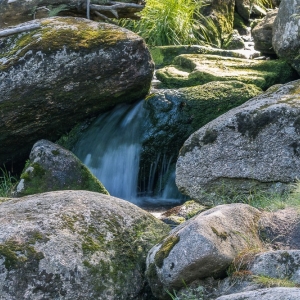 hala-szrenicka-fot-ewajak25