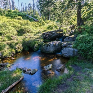 hala-szrenicka-fot-ewajak26