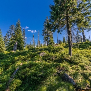 hala-szrenicka-fot-ewajak27