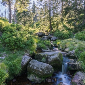 hala-szrenicka-fot-ewajak28