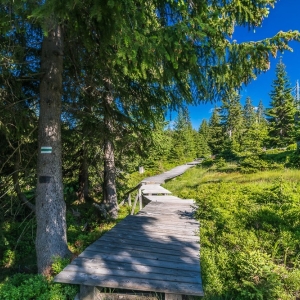 hala-szrenicka-fot-ewajak29