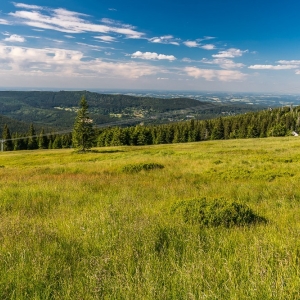 hala-szrenicka-fot-ewajak40