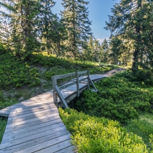 hala-szrenicka-fot-ewajak41