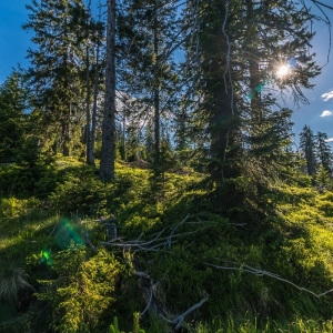 hala-szrenicka-fot-ewajak43