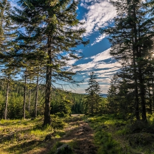 hala-szrenicka-fot-ewajak48