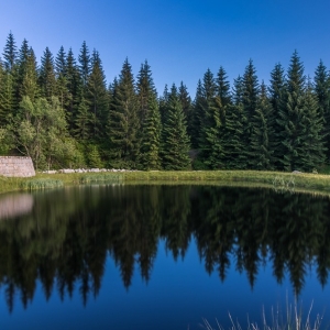 hala-szrenicka-fot-ewajak50