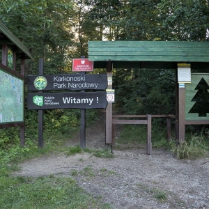 sniezne-kotly-fot-ewa-jakubowska01