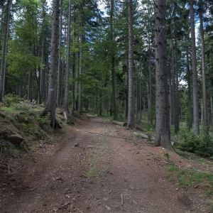 sniezne-kotly-fot-ewa-jakubowska02