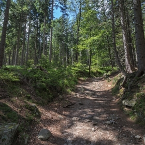 sniezne-kotly-fot-ewa-jakubowska03