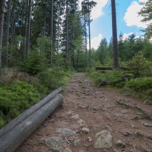 sniezne-kotly-fot-ewa-jakubowska09