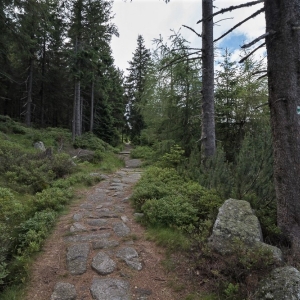 sniezne-kotly-fot-ewa-jakubowska22