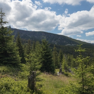 sniezne-kotly-fot-ewa-jakubowska28