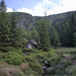 sniezne-kotly-fot-ewa-jakubowska70