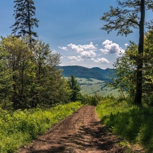 wieza-na-dzikowcu-fot-ejak07