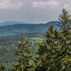 wieza-na-dzikowcu-fot-ejak15