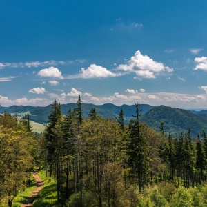 wieza-na-dzikowcu-fot-ejak37