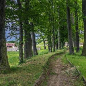palac-we-wlosieniu-fot-ewa-jakubowska_18