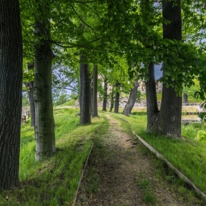 palac-we-wlosieniu-fot-ewa-jakubowska_21