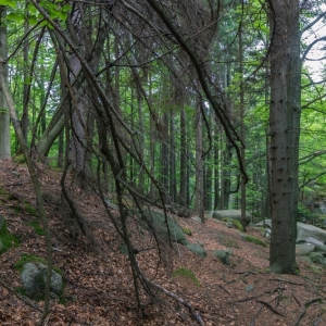 wodospad-podgornej-fot-ewajak11