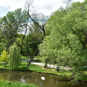 park-prochowice-fot-ewa-jakubowska06