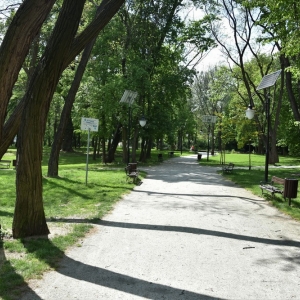 park-prochowice-fot-ewa-jakubowska11