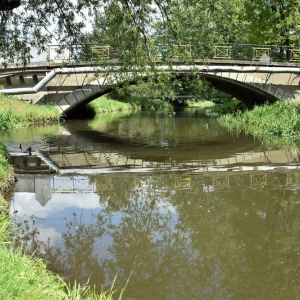 park-prochowice-fot-ewa-jakubowska13
