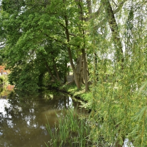 park-prochowice-fot-ewa-jakubowska15