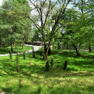 park-prochowice-fot-ewa-jakubowska28