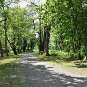 park-prochowice-fot-ewa-jakubowska52