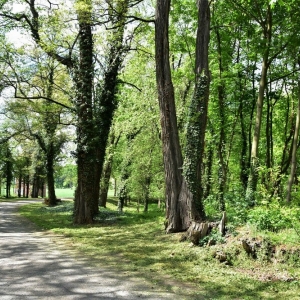 park-prochowice-fot-ewa-jakubowska54