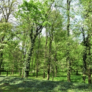 park-prochowice-fot-ewa-jakubowska55