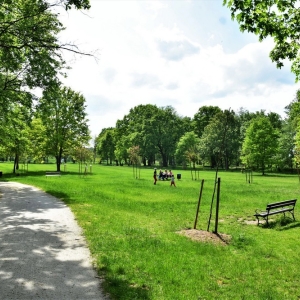 park-prochowice-fot-ewa-jakubowska66
