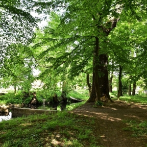 park-prochowice-fot-ewa-jakubowska68