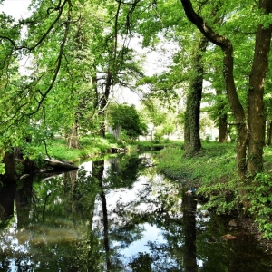 park-prochowice-fot-ewa-jakubowska69
