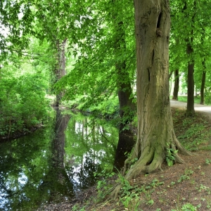 park-prochowice-fot-ewa-jakubowska70
