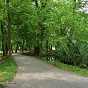 park-prochowice-fot-ewa-jakubowska72