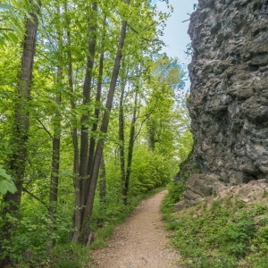 zamek-we-wleniu-fot-ewajak07