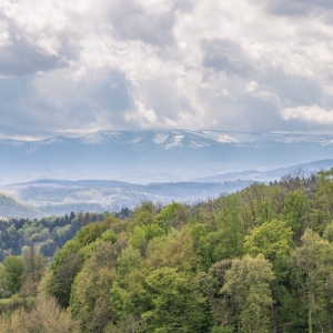 zamek-we-wleniu-fot-ewajak35