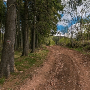 wieza-na-wlodzickiej-gorze-fot-ewa-jakubowska07
