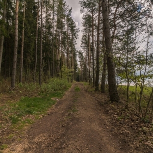 wieza-na-wlodzickiej-gorze-fot-ewa-jakubowska10