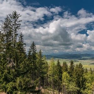 wieza-na-wlodzickiej-gorze-fot-ewa-jakubowska19