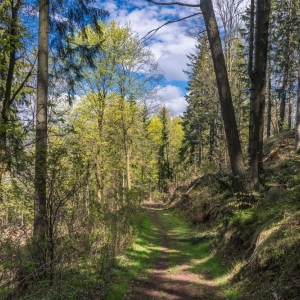wieza-na-wlodzickiej-gorze-fot-ewa-jakubowska33