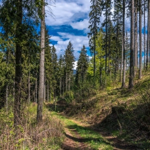 wieza-na-wlodzickiej-gorze-fot-ewa-jakubowska36